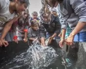 Nimay Release (Sturgeon)