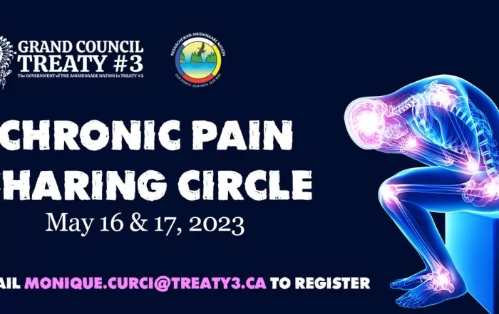Chronic Pain Sharing Circle - May 16 & May 17, 2023 in Niisaachewan